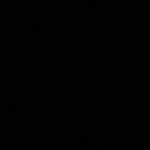 Meet your Posher, Sammy